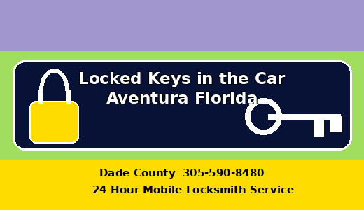 Locked Keys in the Car Aventura Florida